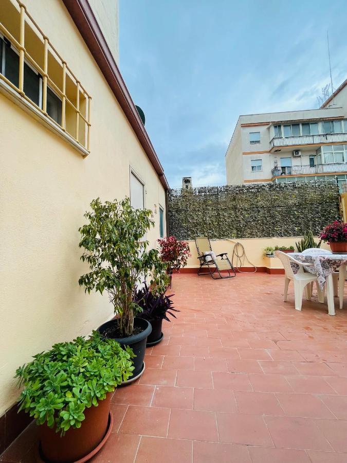 Olivuzza With Terrace Apartment
